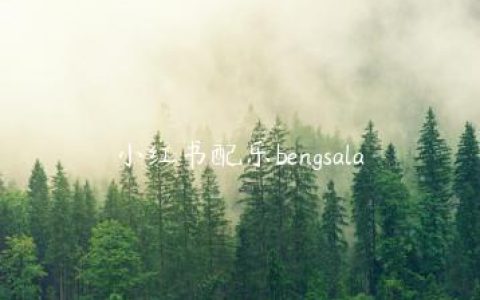 小红书配乐bengsala