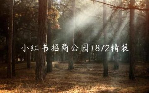 小红书招商公园1872精装