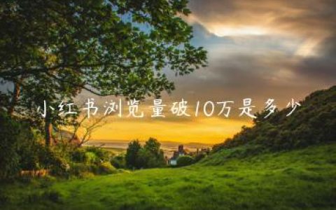 小红书浏览量破10万是多少