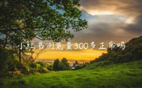 小红书浏览量300多正常吗