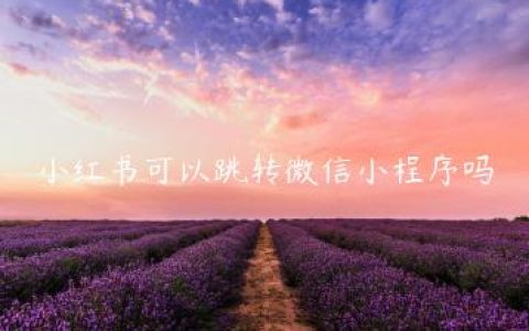 小红书可以跳转微信小程序吗