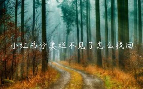 小红书分类栏不见了怎么找回