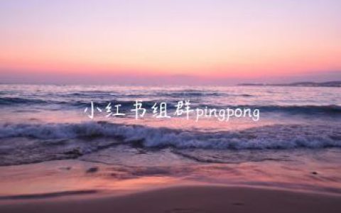 小红书组群pingpong