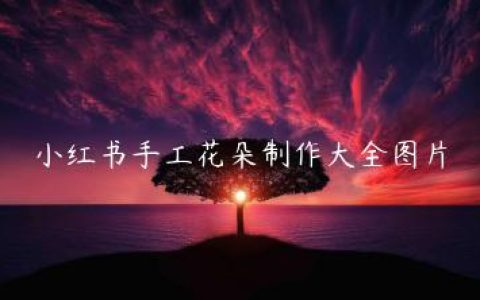 小红书手工花朵制作大全图片