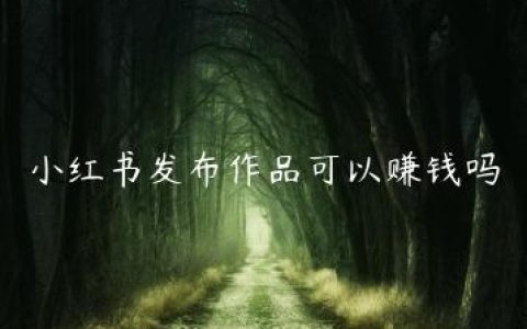 小红书发布作品可以赚钱吗