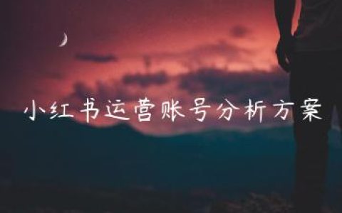 小红书运营账号分析方案