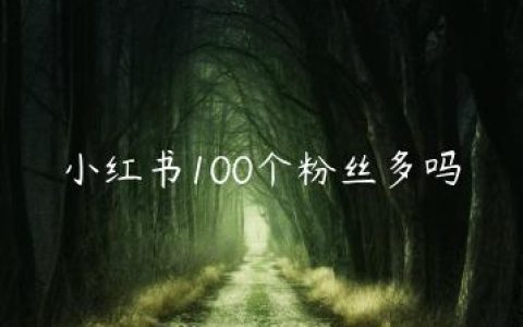 小红书100个粉丝多吗