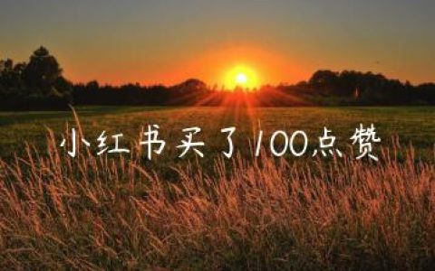 小红书买了100点赞