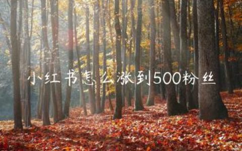 小红书怎么涨到500粉丝