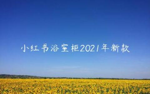 小红书浴室柜2021年新款