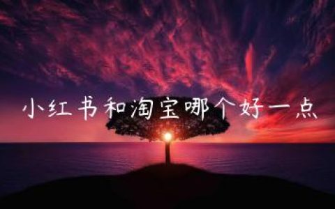 小红书和淘宝哪个好一点