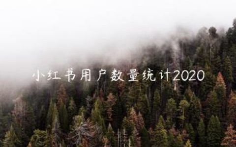 小红书用户数量统计2020