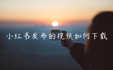 小红书发布的视频如何下载