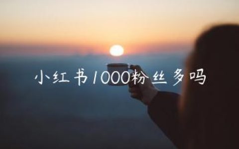 小红书1000粉丝多吗