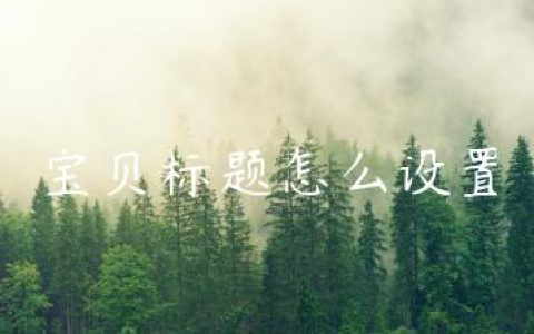 宝贝标题怎么设置