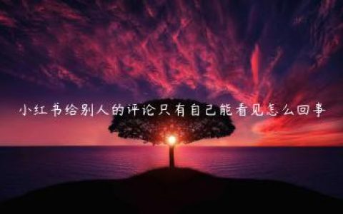 小红书给别人的评论只有自己能看见怎么回事