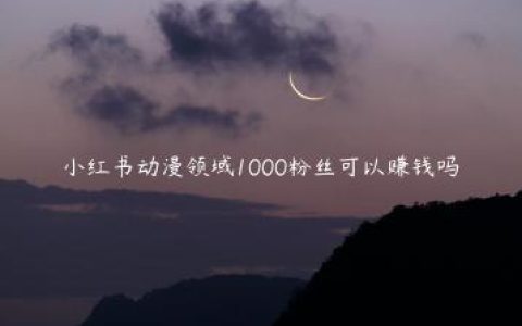 小红书动漫领域1000粉丝可以赚钱吗