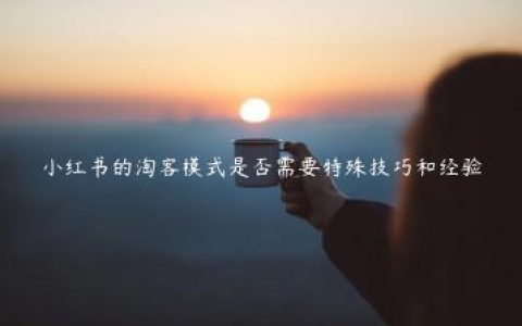 小红书的淘客模式是否需要特殊技巧和经验