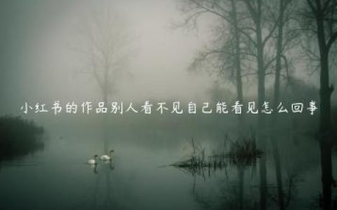 小红书的作品别人看不见自己能看见怎么回事